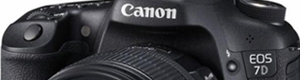 Canon 7D Gallery
