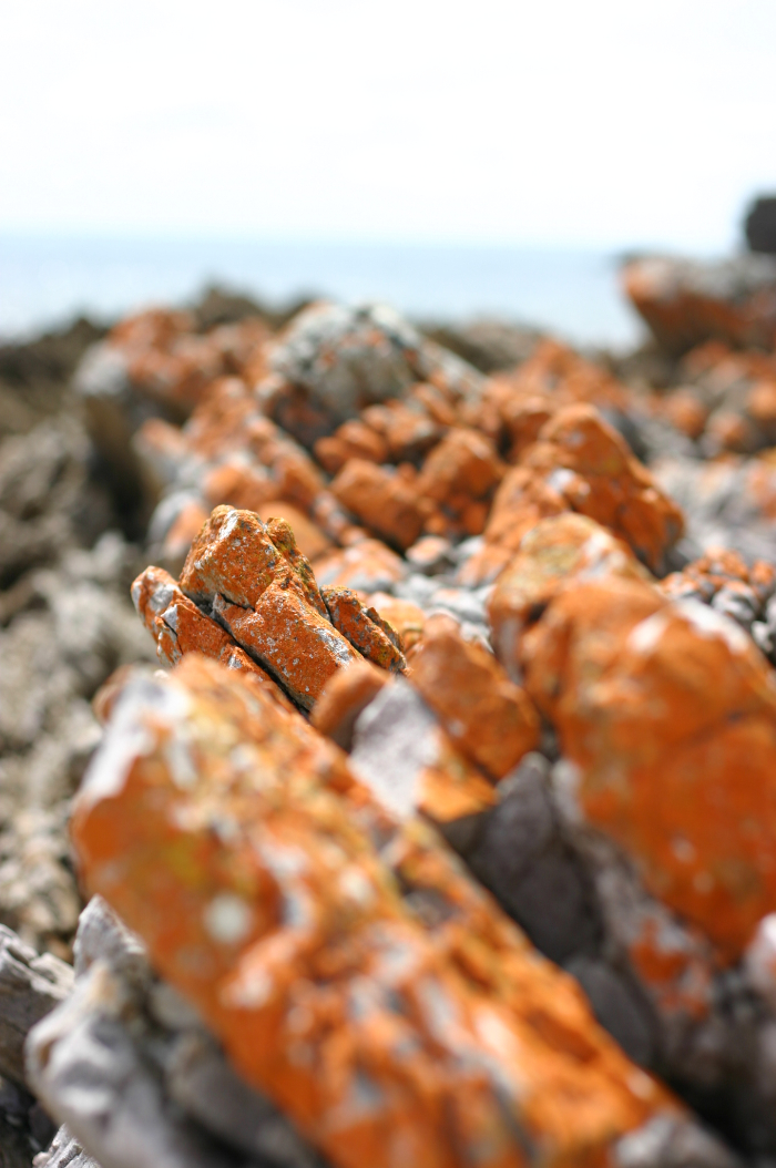 Orange Rock [ EF 50mm 1.4 ]