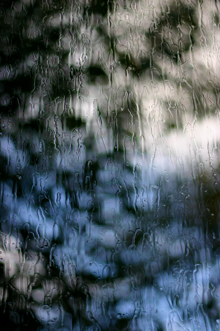 Raindrops [ EF 50mm 1.4 ]