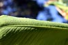 Drops on Leaf [ EF 50mm 1.8 ]