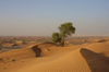Desert View [ EF 28mm 1.8 ]
