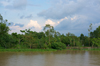 Mekong Shore [ Zeiss Planar T* 50mm 1.4 ZE ]