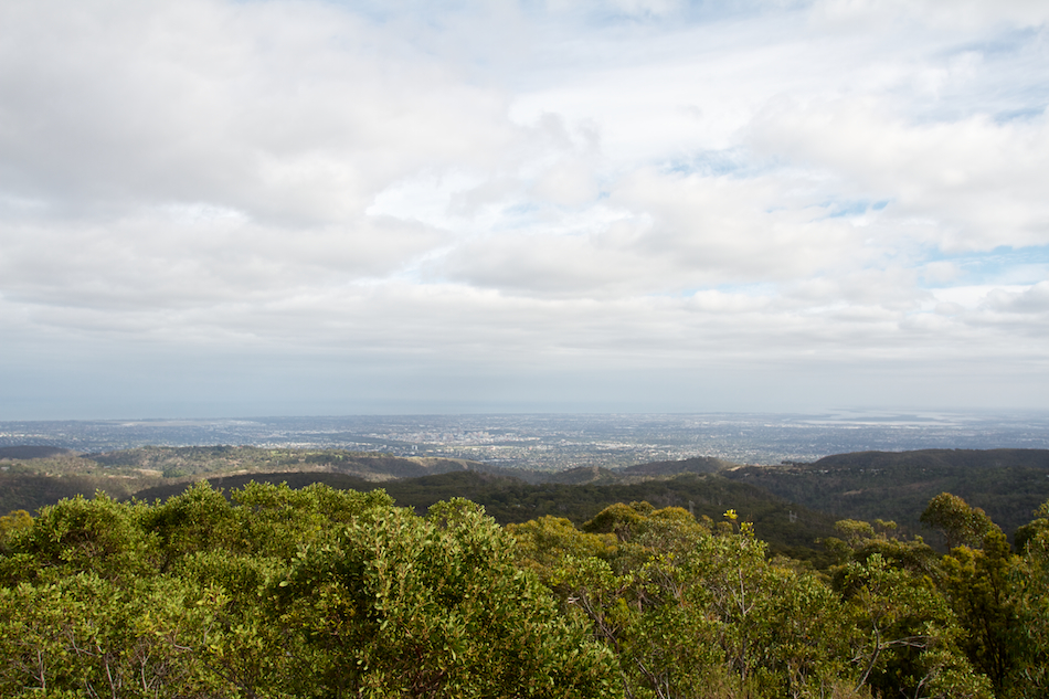 Adelaide from Mt Lofty [ EF 17-40mm 1:4 L ]