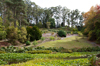 Mt Lofty Botanic Gardens [ EF 17-40mm 1:4 L ]