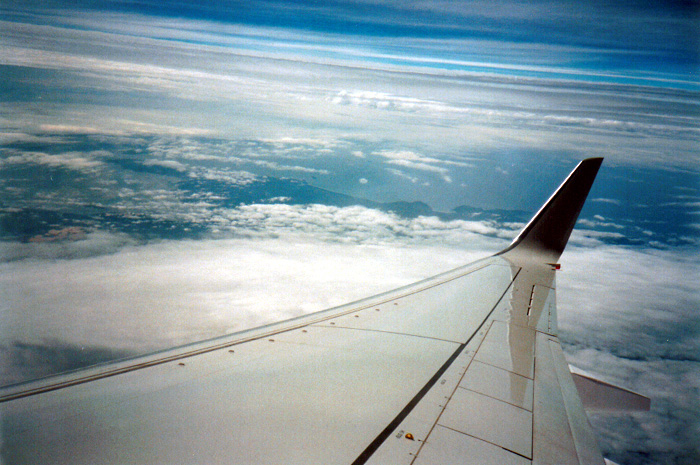Wing Over Tasmania