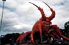 Big Crayfish - Kingston