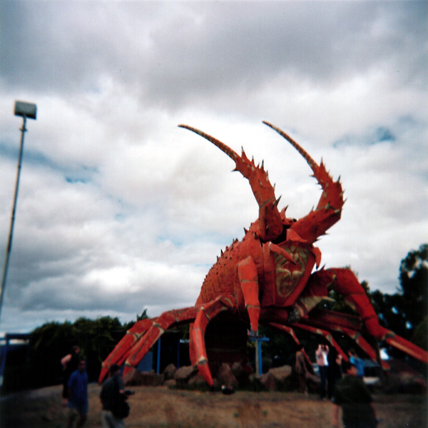 Big Crayfish - Kingston